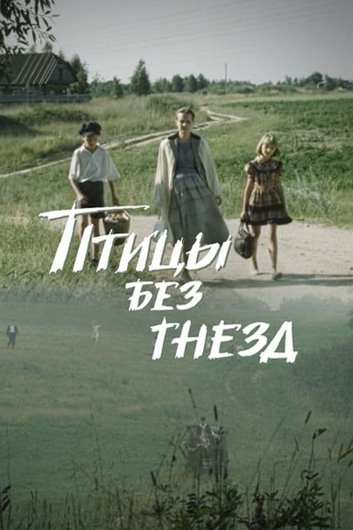 Poster for Birds Without Nests