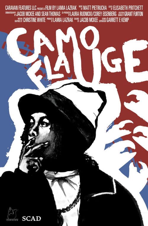 Poster for Camoflauge