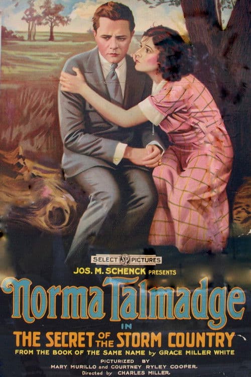 Poster for The Secret of the Storm Country