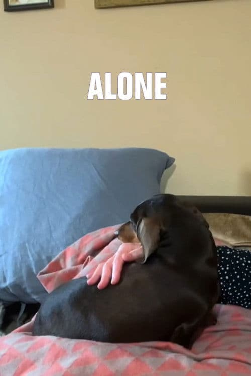 Poster for Alone