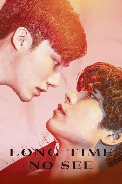 Poster for Long Time No See