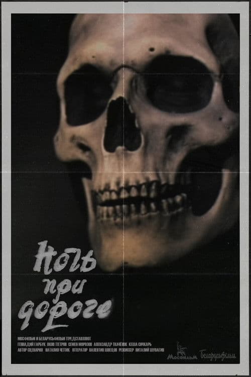 Poster for Night on the Road