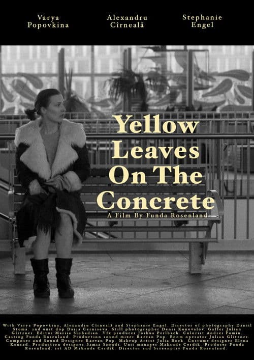 Poster for Yellow leaves on the concrete