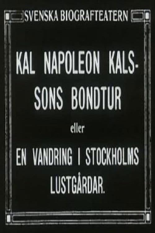 Poster for Kal Napoleon Kalsson's Farm Ride