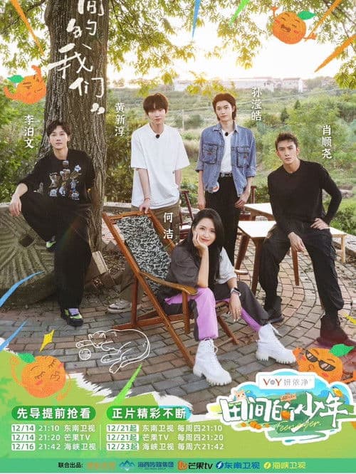 Poster for 田间的少年