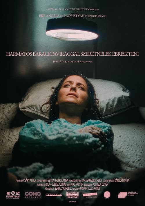 Poster for waking you with dewy peach blossoms