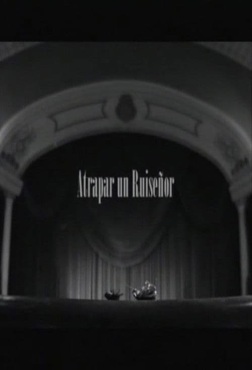 Poster for Atrapar un ruiseñor