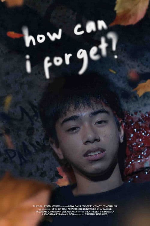 Poster for How Can I Forget?