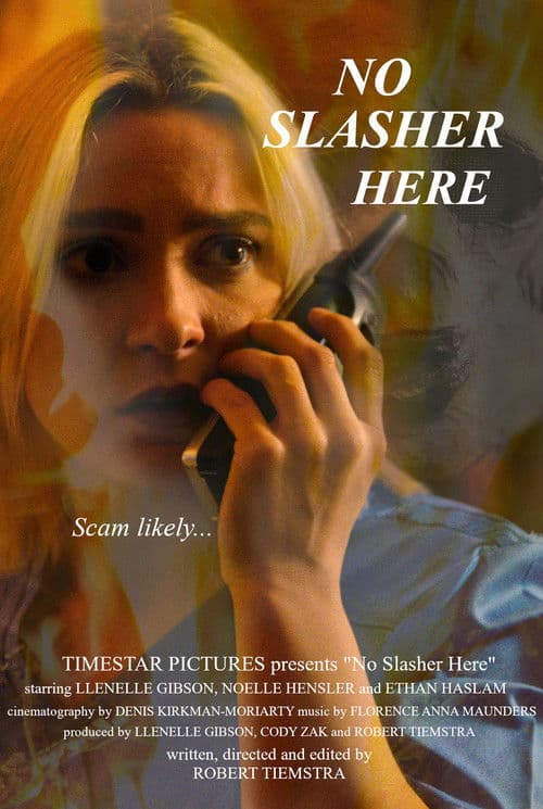 Poster for No Slasher Here