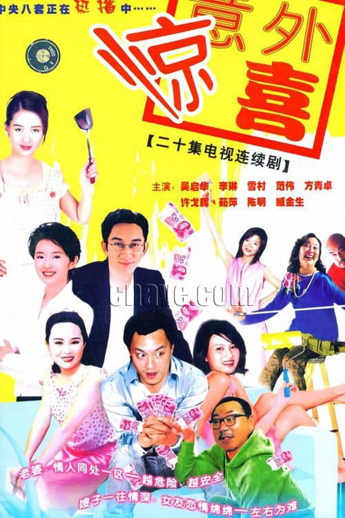 Poster for 将装修进行到底