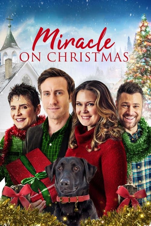 Poster for Miracle on Christmas
