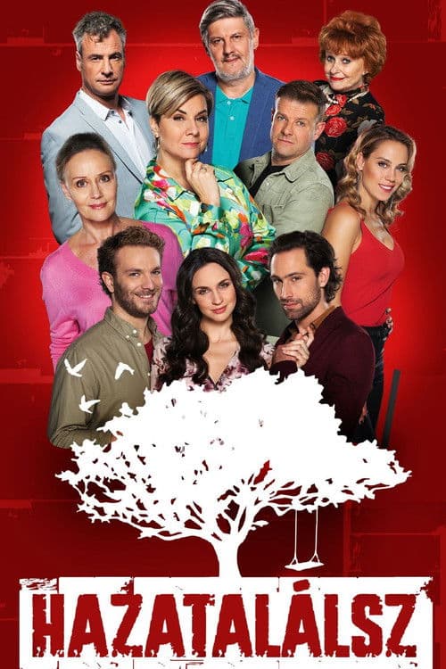 Poster for Hazatalálsz
