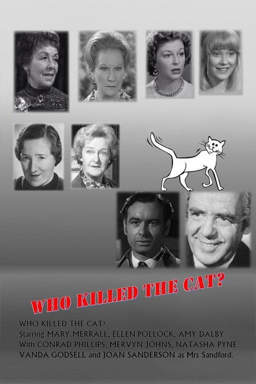 Poster for Who Killed the Cat?