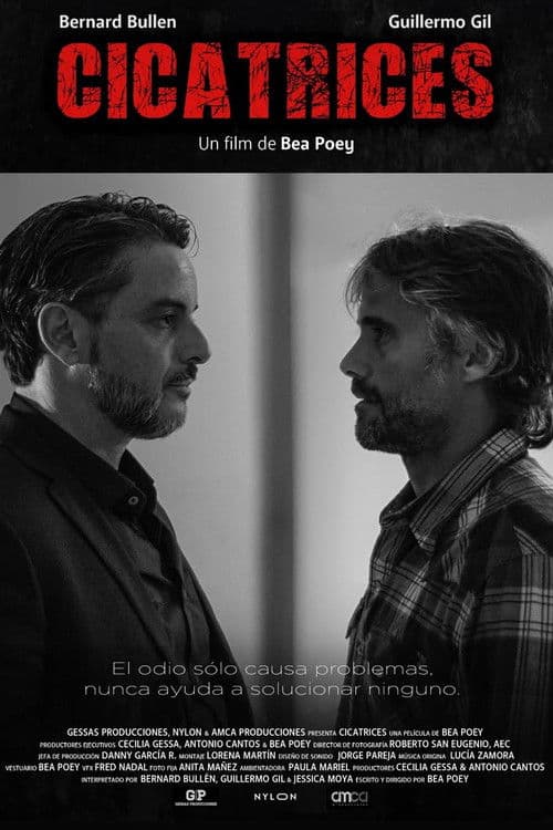 Poster for Cicatrices