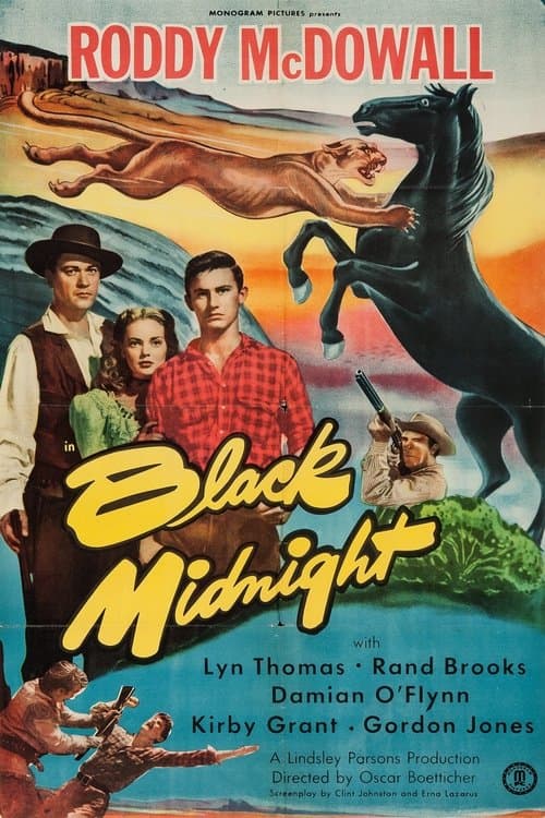 Poster for Black Midnight