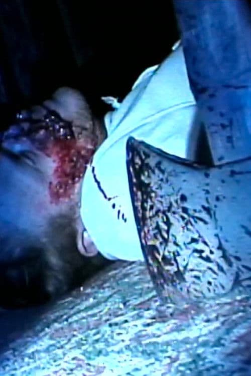 Poster for Holiday Horror