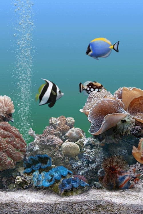 Similar title Coral Dreamscapes: An Exotic Aquarium
