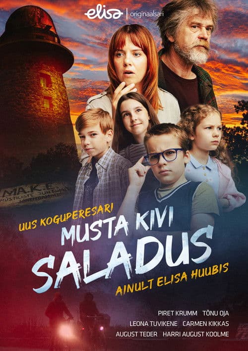 Poster for Musta kivi saladus
