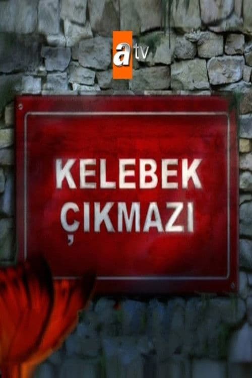 Poster for Kelebek Çıkmazı