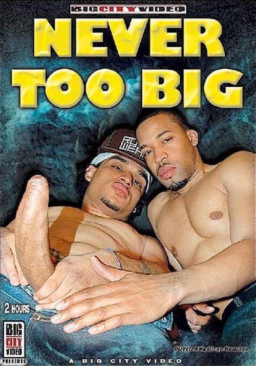Poster for Never Too Big