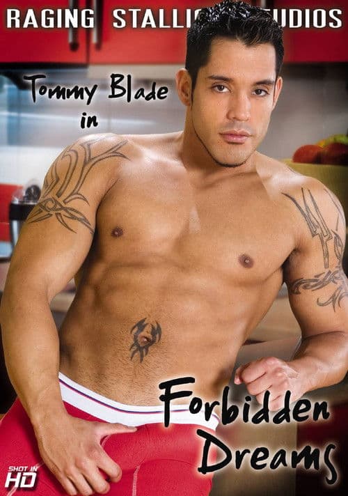 Poster for Forbidden Dreams