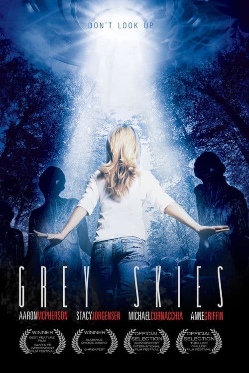 Poster for Grey Skies