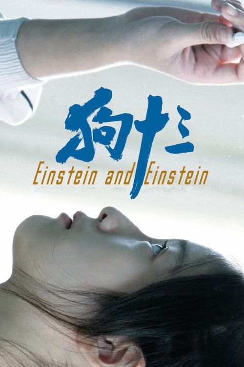 Poster for Einstein and Einstein