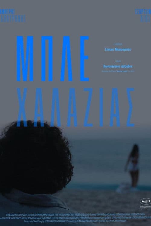 Poster for The Summer That Never Grew Old