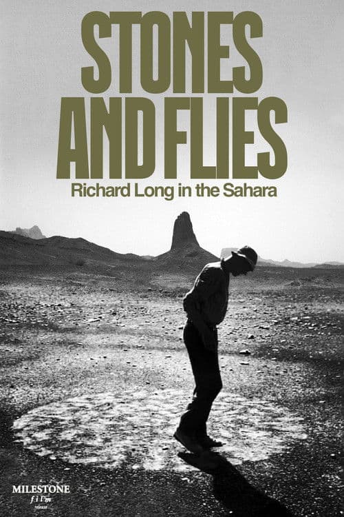 Similar title Stones and Flies: Richard Long in the Sahara