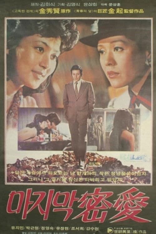 Poster for The Last Secret Love