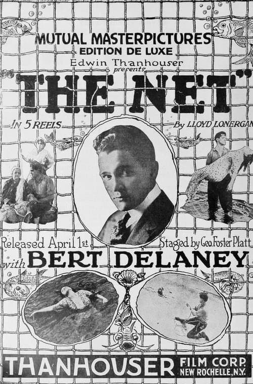 Poster for The Net