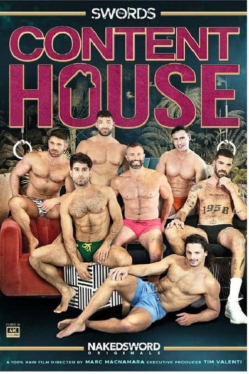 Poster for Content House: The Swords