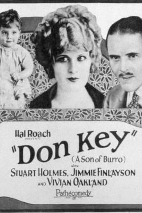 Poster for Don Key (Son of Burro)