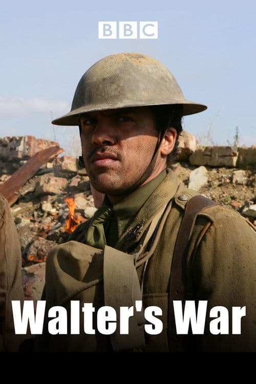 Poster for Walter's War