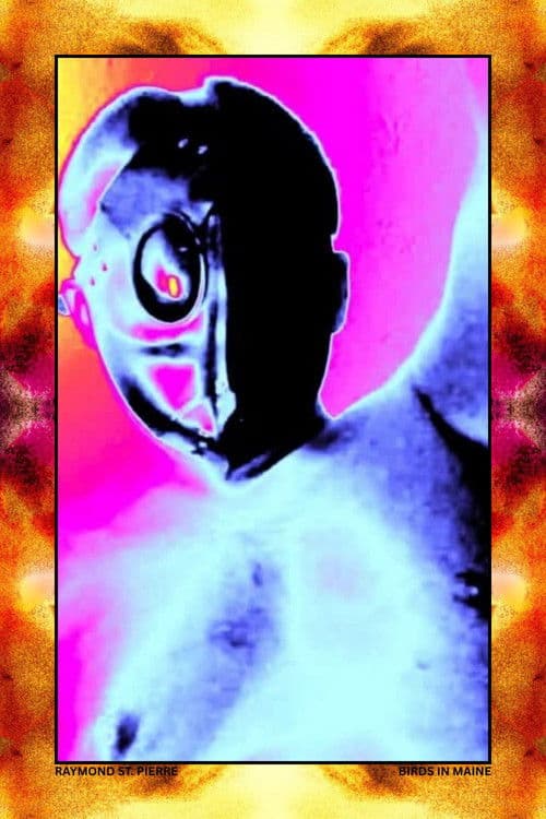 Poster for Birds in Maine