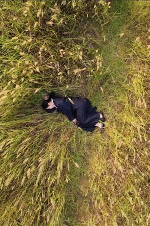 Poster for Paris to Pyongyang