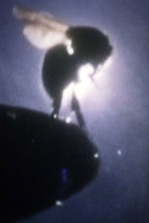 Poster for UFO Flying Course