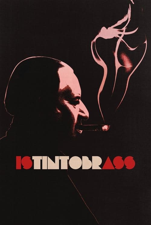 Poster for Istintobrass