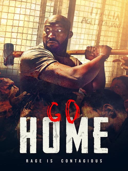 Poster for Go Home