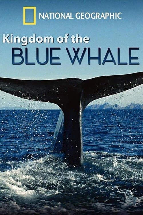 Poster for Kingdom of the Blue Whale