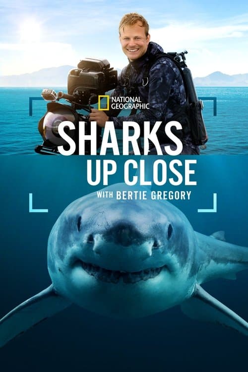 Poster for Sharks Up Close with Bertie Gregory
