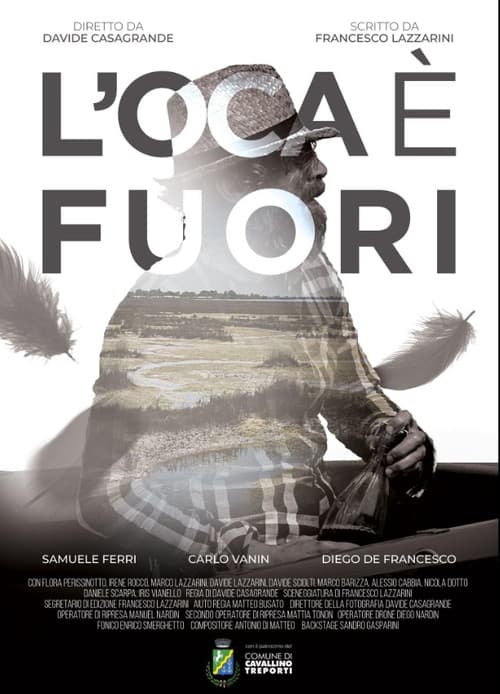 Poster for L'oca è fuori
