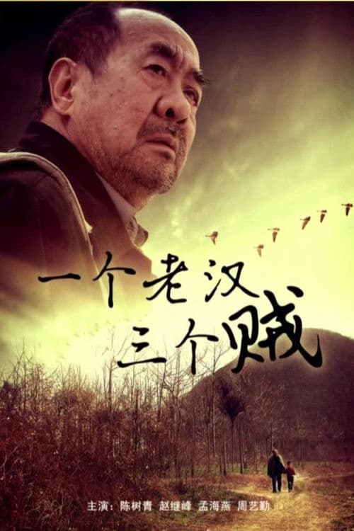 Poster for 一个老汉三个贼