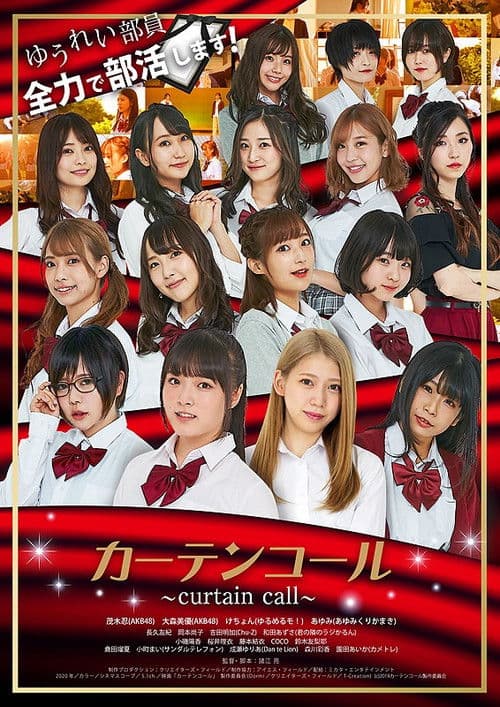 Poster for Curtain Call