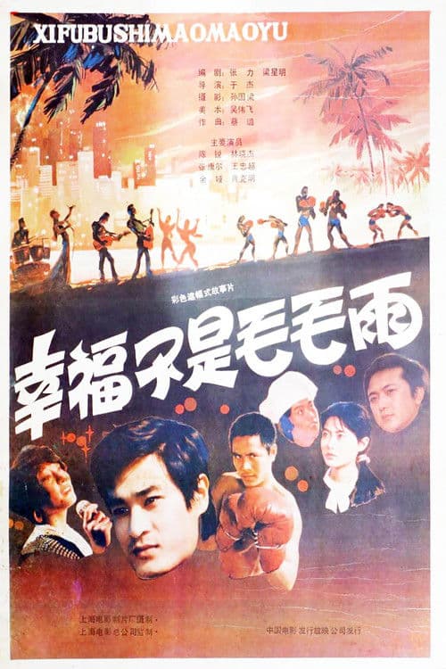 Poster for 幸福不是毛毛雨