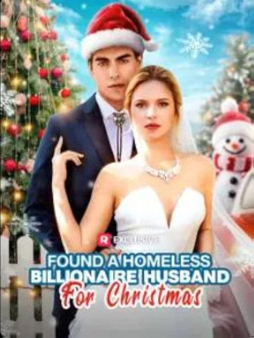 Poster for Found a Homeless Billionaire Husband for Christmas
