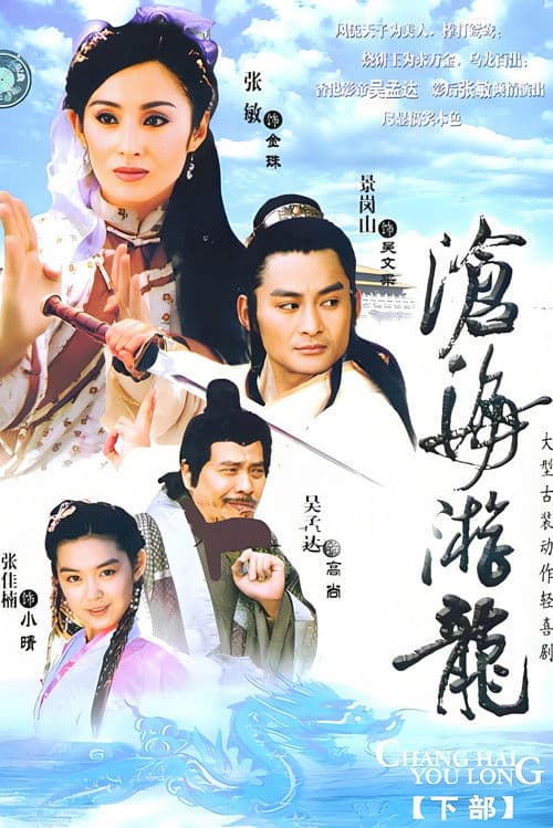 Poster for 沧海游龙