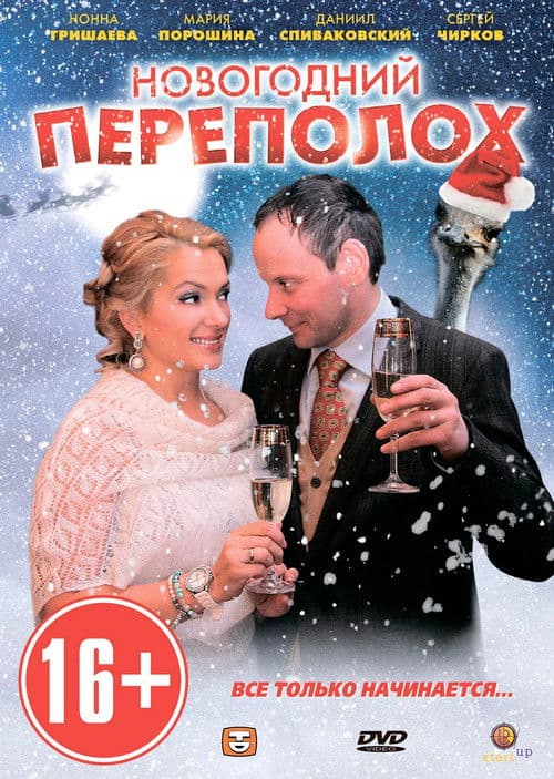 Poster for Новогодний переполох