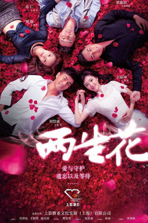 Poster for 两生花