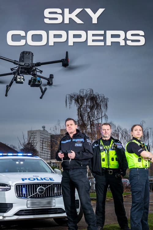 Poster for Sky Coppers